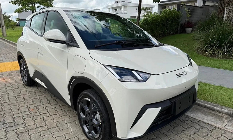 Byd Dolphin Mini (El...