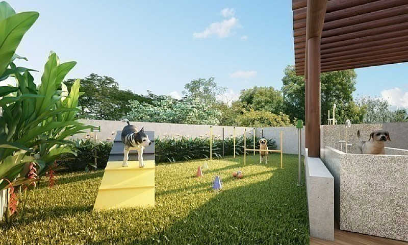 (Ts) O Lançamento Ma...