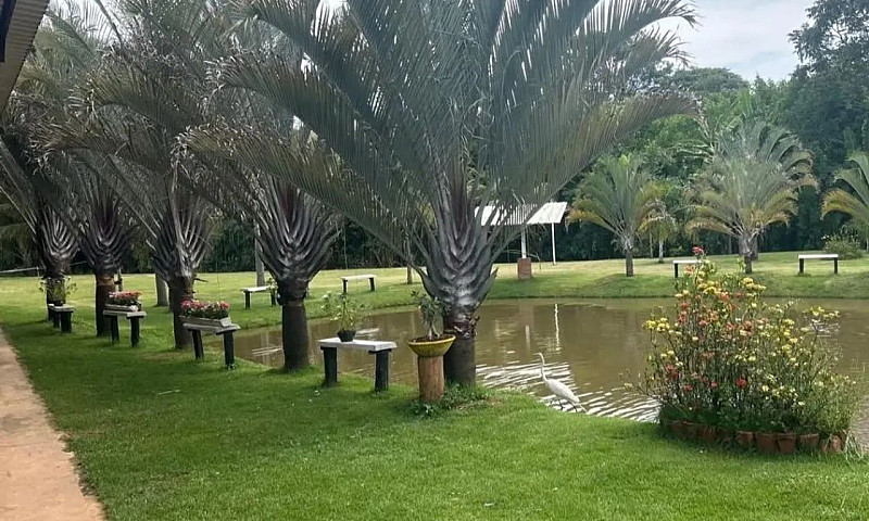 Aluga-Se Casas Em Pe...