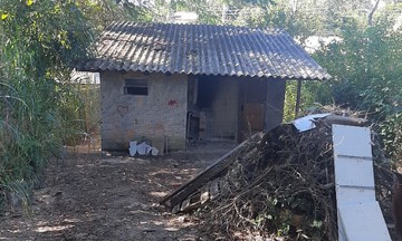 Casa, Terreno, Raton...
