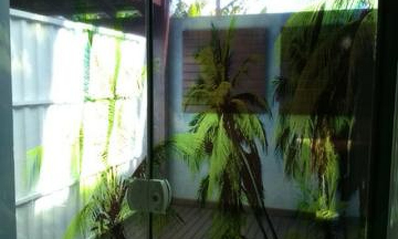 Ag-Aluguel Apartamen...