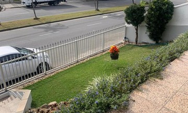 Casa No Floresta Com...