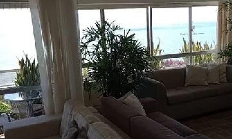 Apartamento Com 4 Qu...