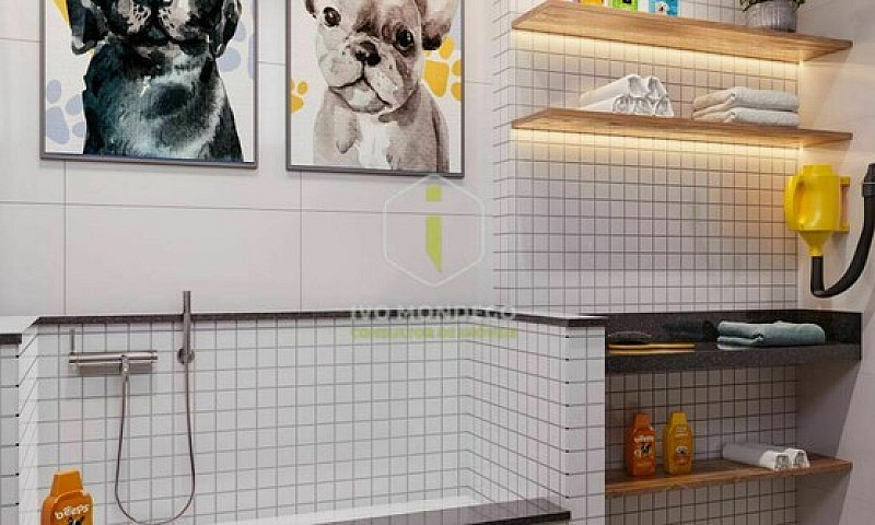 Lançamento Alto Padr...