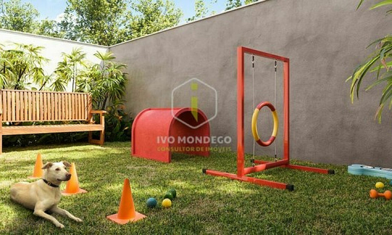 Lançamento Alto Padr...