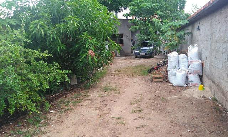 Alugo Casa No Aleixo...