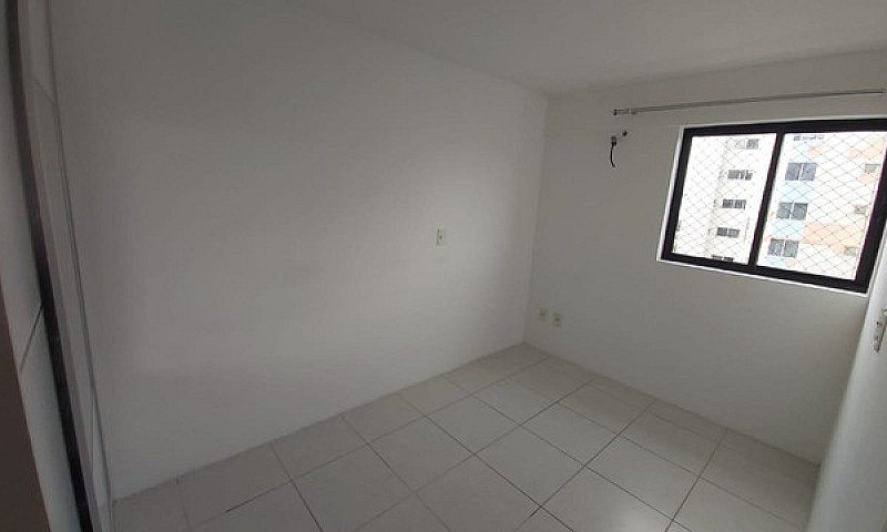 Vendo Ib Gatto No Fa...