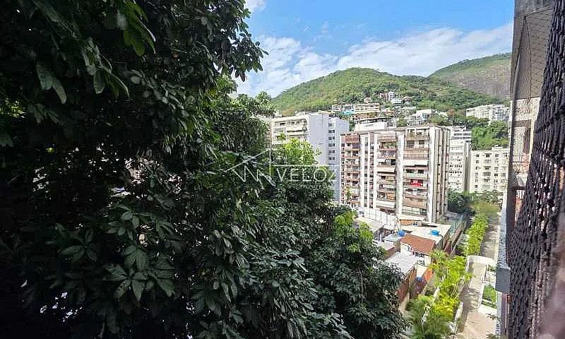 Apartamento : Padrão...