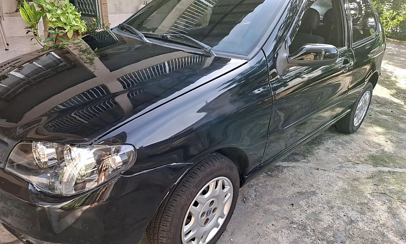 Fiat Palio Celebrati...