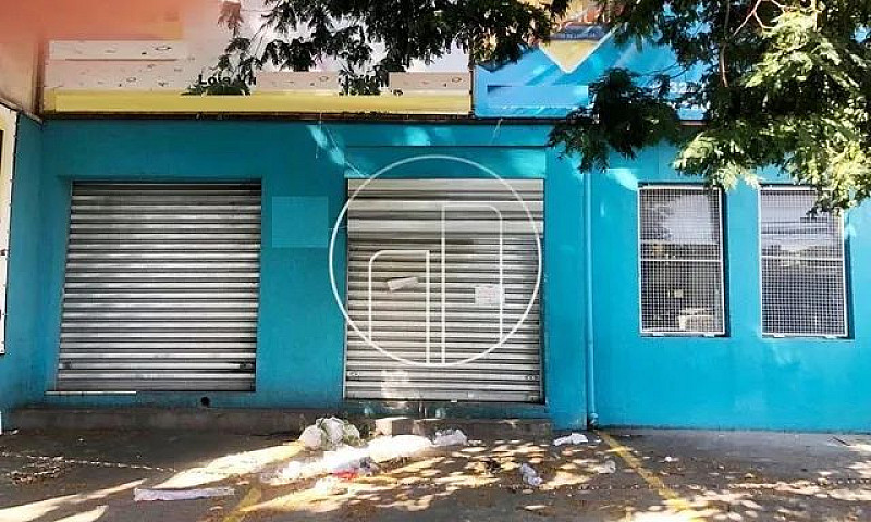 Casa - Cambuí - Camp...