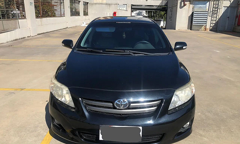 Toyota Corolla...