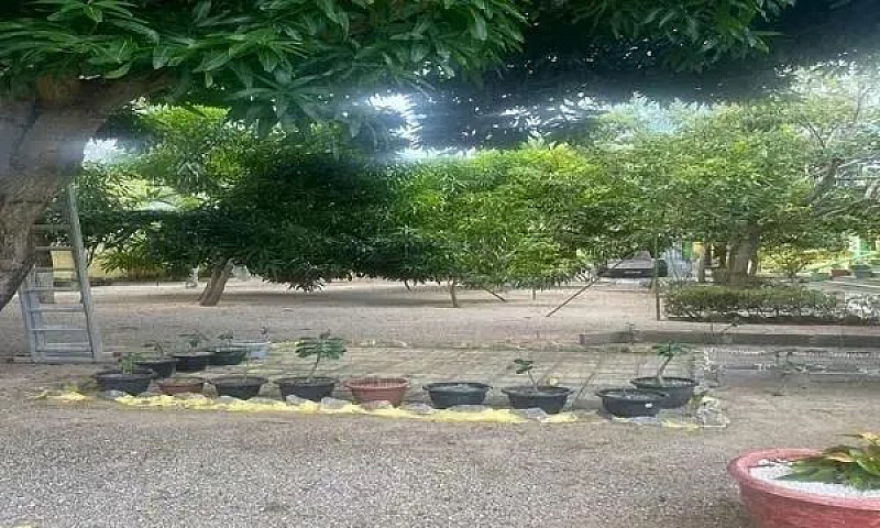 Casa Para Venda Tem ...