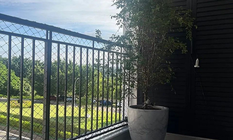 Apartamento Para Alu...
