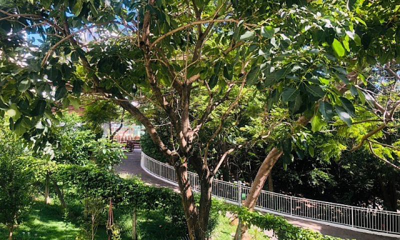 Apartamento No Condo...
