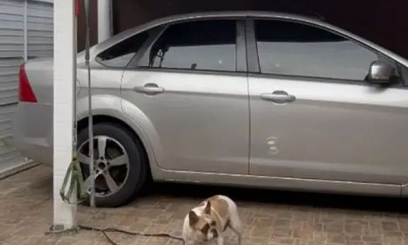 Ford Focus Sedan 1.6...