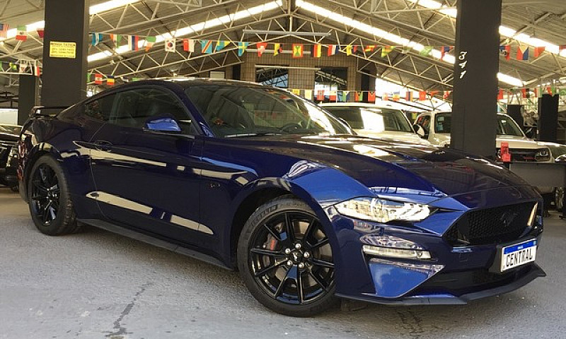Mustang Black Shadow...