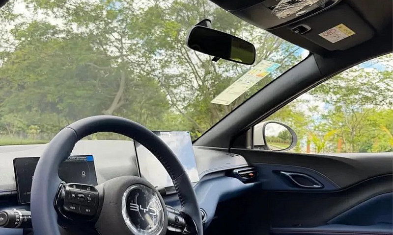 Byd Dolphin Mini (El...