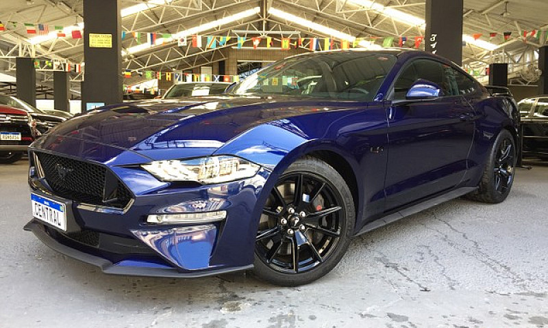 Mustang Black Shadow...