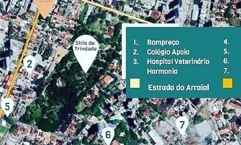 Ml | Max Trindade | ...