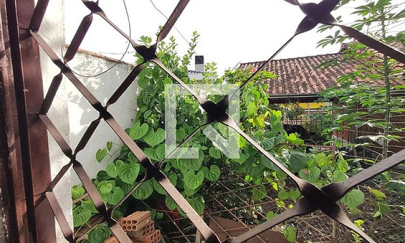 Casa Para Aluguel - ...