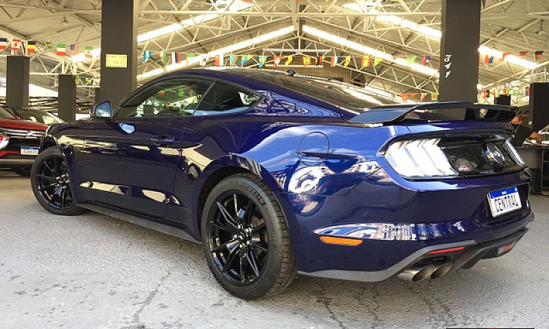 Mustang Black Shadow...