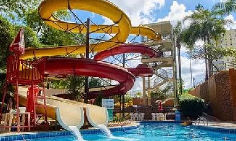 Vendo Suite Golden D...