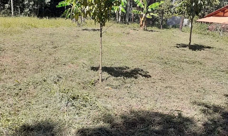 Chácara Em Araçarigu...