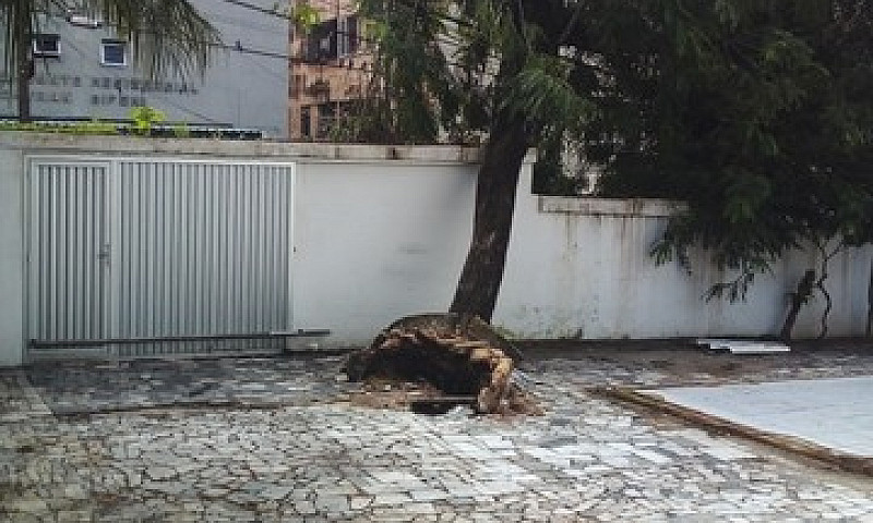 Terreno Aproximadame...
