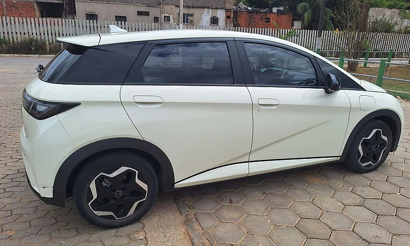 Byd Dolphin Ev (Elét...
