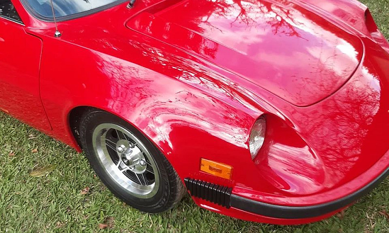 Puma Gte  1980 Placa...