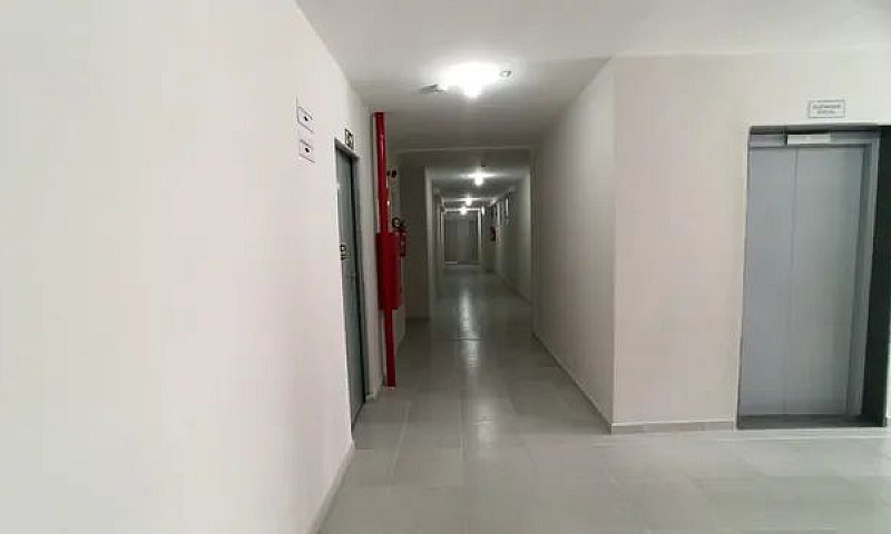 Apartamento Para Alu...