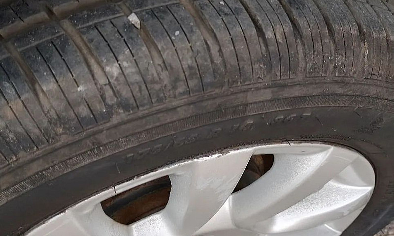 Fiat Palio Celebrati...