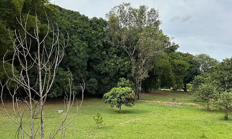 Casa Com Excelente L...