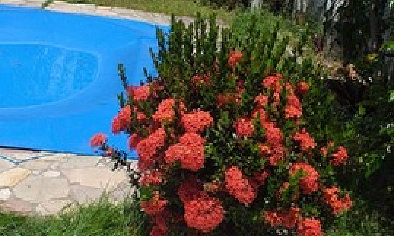 Vendo Casa 4 Qrts + ...