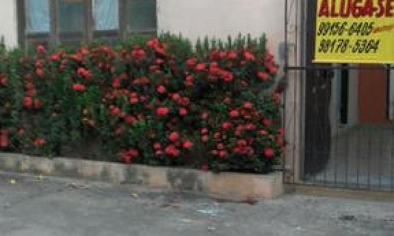 Casa Com 02 Dormitór...
