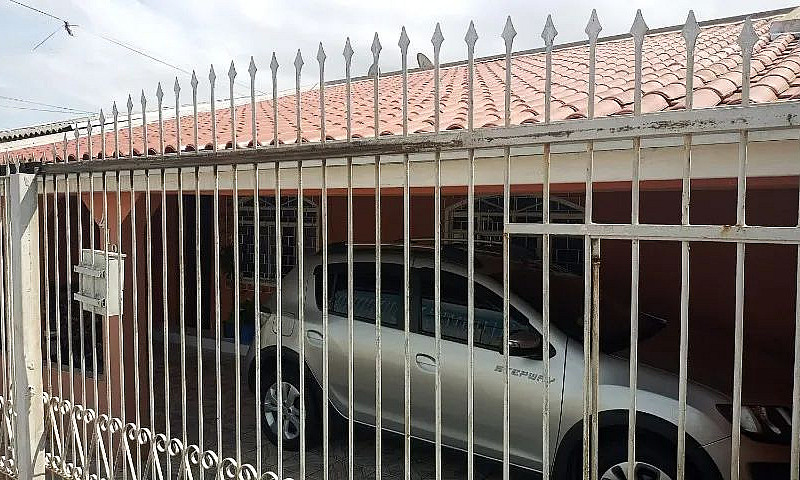 Dono Vende Sjpinhais...