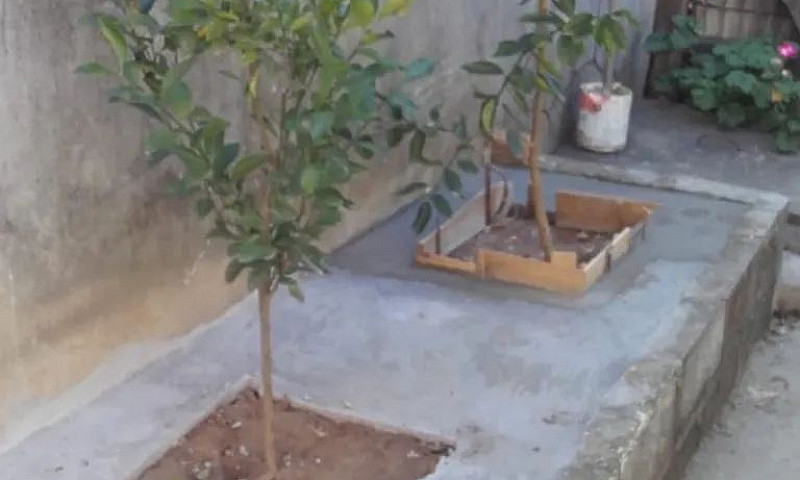 Oportunidade 2 Casas...