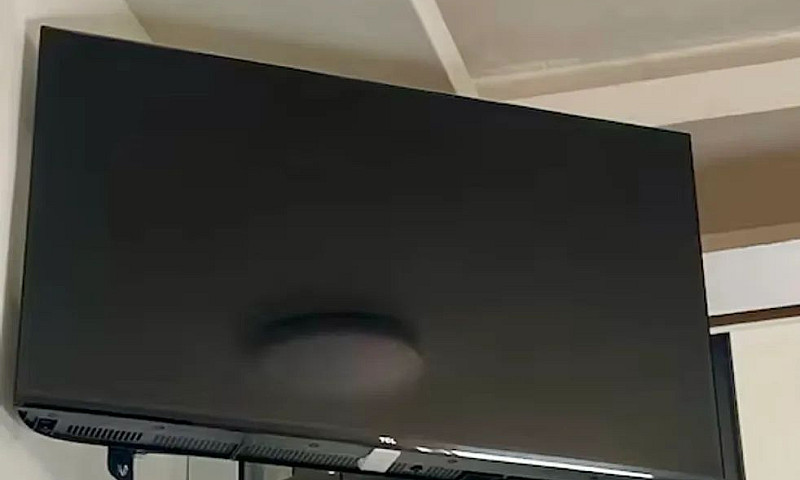 Alugo Para Fevereiro...