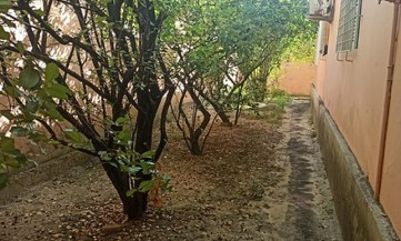 Lm Vende Graciosa Ca...