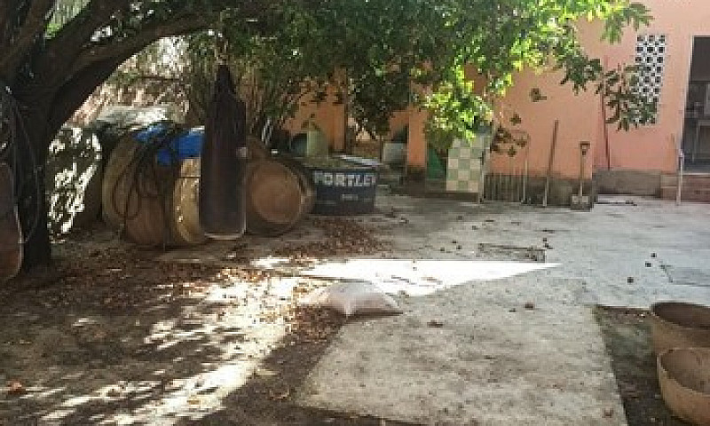 Lm Vende Graciosa Ca...