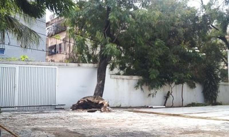 Terreno Aproximadame...