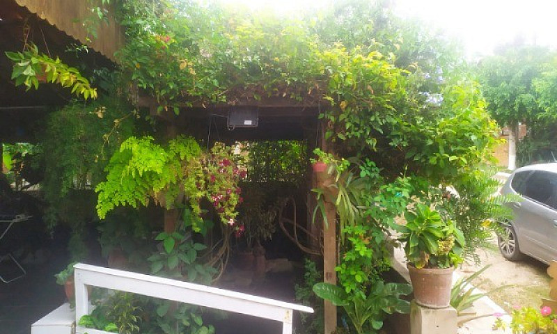 Excelente Casa Em Co...