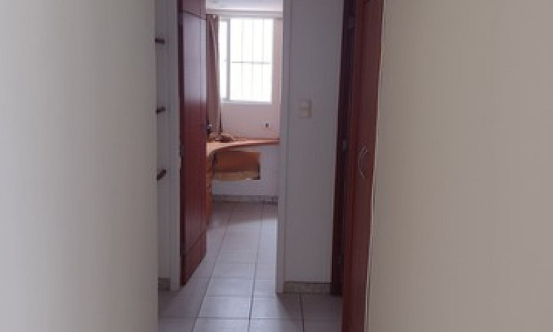 Apartamento Para Alu...