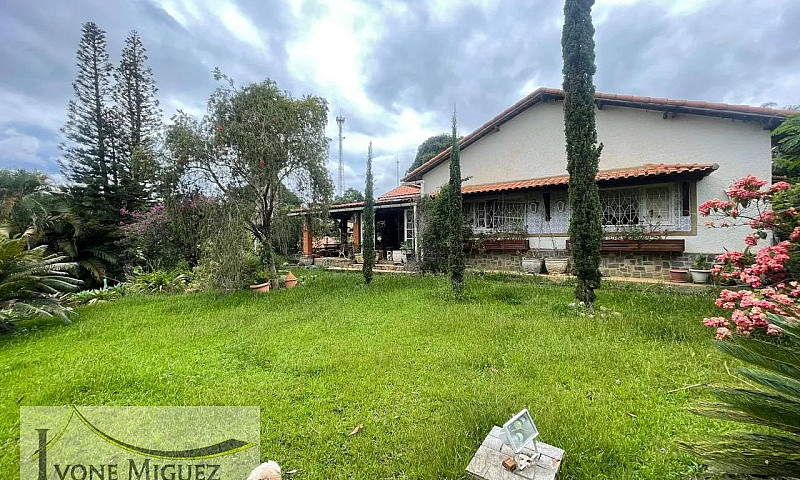 Casa Em Alto Do Reca...