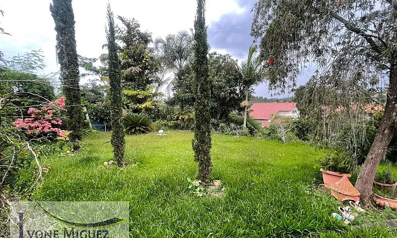 Casa Em Alto Do Reca...