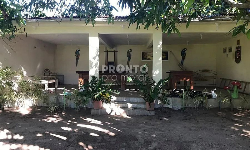Casa Com 6 Quartos E...