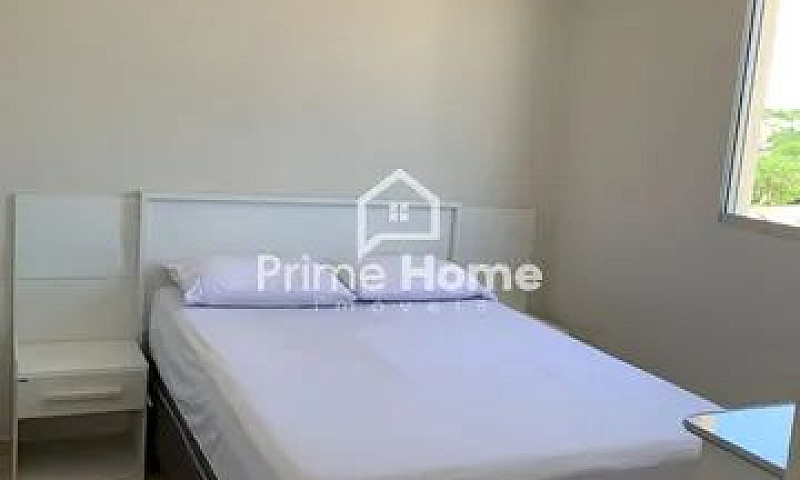 Apartamento - Jardim...
