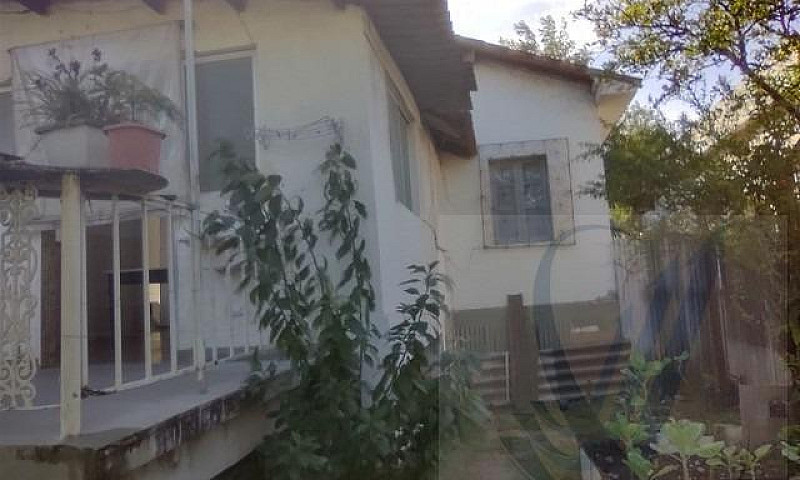 Casa Para Aluguel Co...