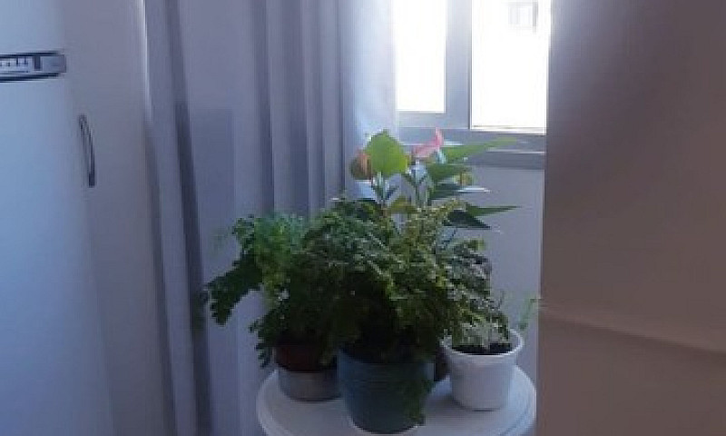 01 Quarto E Sala , T...