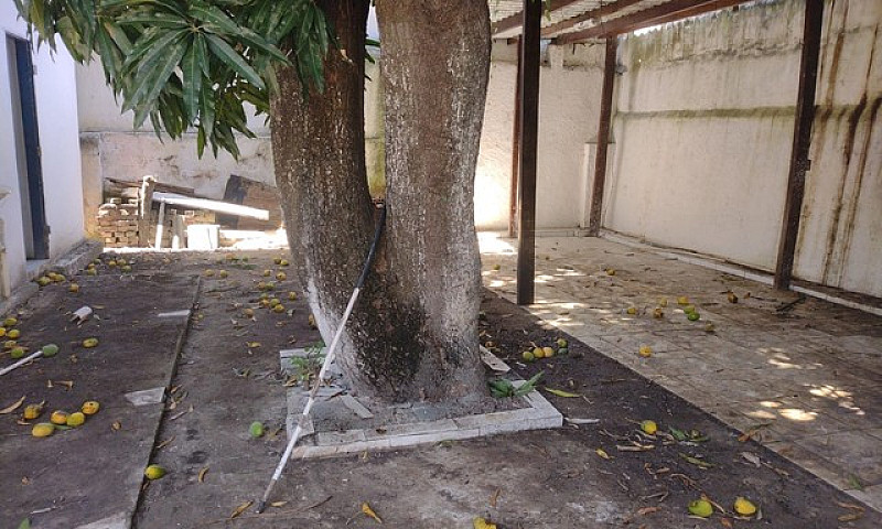 Alugo Ótima Casa Com...